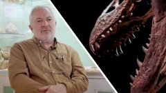 Interview : des dinosaures dans le sud de la France ?