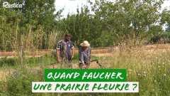 Quand faucher une pairie fleurie ?