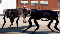 Ces étonnants robots qui savent courir et sauter