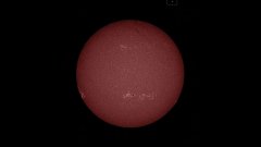 SDO sees sunpot region AR12786