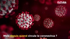 Quand est né le coronavirus ?