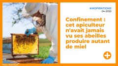 Confinement : cet apiculteur n'avait jamais vu ses abeilles produire autant de miel