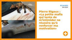Pierre Rigaux : «La petite mafia qui tente de m'intimider ne réussira qu'à renforcer ma motivation»