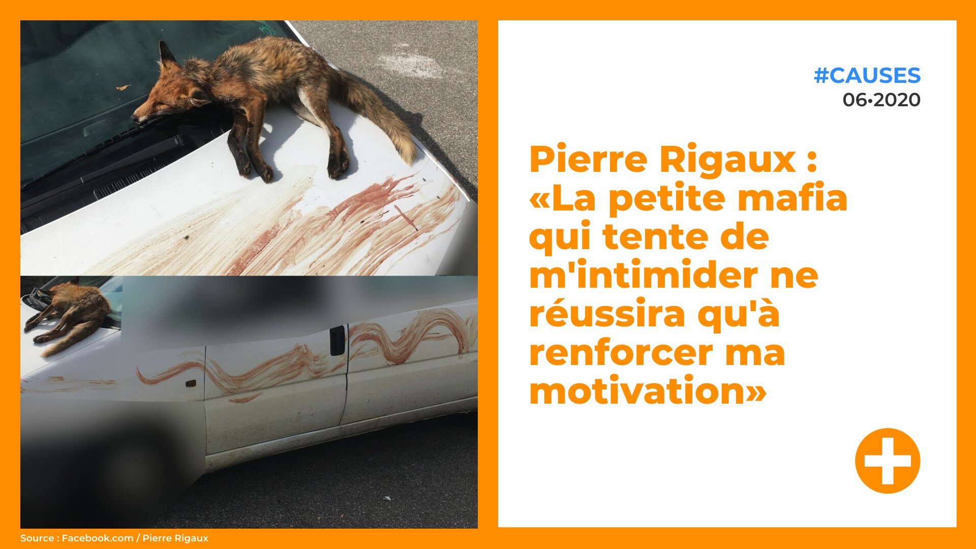 Pierre Rigaux - Un chat retrouvé par sa propriétaire dans un piège