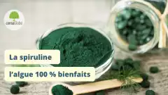 La spiruline : l’algue 100 % bienfaits
