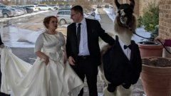 Comme il l'avait promis, il vient au mariage de sa soeur avec un lama en smoking