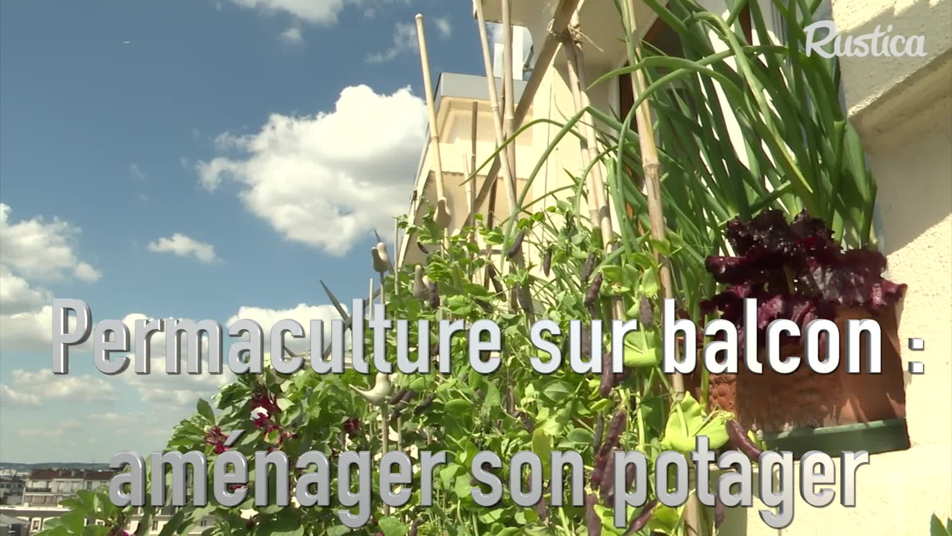 Balcon potager : comment planter des graines paysannes - Mon petit balcon