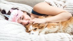 C’est officiel : les femmes dorment mieux avec leur chien qu'avec un homme