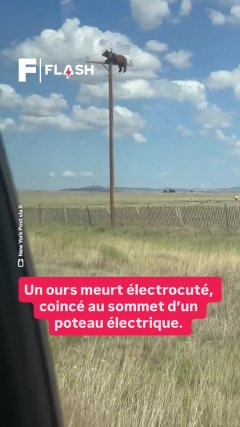Planète - Vidéos Futura - Temporelles