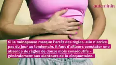 PRÊT À PARTIR Culotte menstruelle Post-partum MÉDIUM - Papillon de nui –  Les Créations Gabi