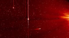 La comète Ison dans sa course vers le Soleil, vue par Stereo