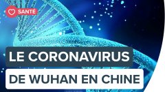 Coronavirus de Wuhan : une épidémie déjà planétaire ? | Futura
