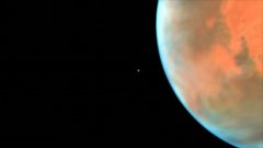 Phobos photobombe les photos de Mars ! | Futura