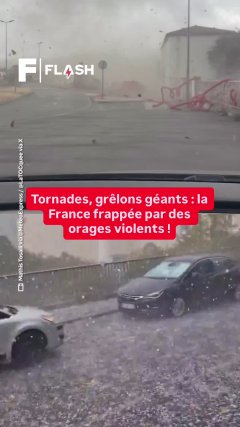 Planète - Vidéos Futura - Temporelles
