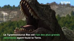 5 choses insolites sur le T-rex | Futura