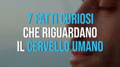 7 fatti sul cervello umano
