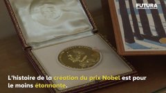 L'étonnante histoire de la création du prix Nobel