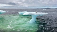 Ils pensent avoir trouvé un phoque au sommet d’un iceberg... Pas du tout