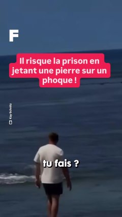 Planète - Vidéos Futura - Temporelles