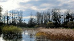 Tour de France de la biodiversité : la réserve naturelle de l'Île du Girard