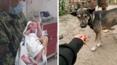 Aboyant sur un motard pour l'alerter, ce chien le guide pour sauver la vie d'un bébé abandonné dans une décharge