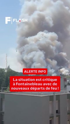 Planète - Vidéos Futura - Temporelles