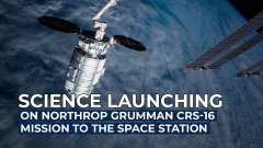 Science à bord de la mission Northrop Grumman CRS-16 | Futura