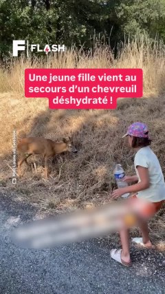 Planète - Vidéos Futura - Temporelles