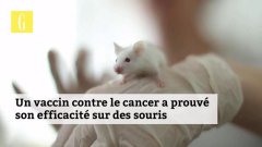 Un vaccin contre le cancer prouve son efficacité sur des souris