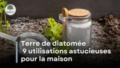 Terre de diatomée : 9 utilisations astucieuses pour la maison