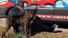 Un homme sans-abri a sauvé tous les animaux d'un refuge qui prenait feu