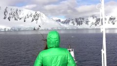 Pourquoi la côte Antarctique est-elle envahie par des algues vertes ? | Futura
