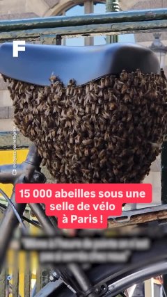 Planète - Vidéos Futura - Temporelles