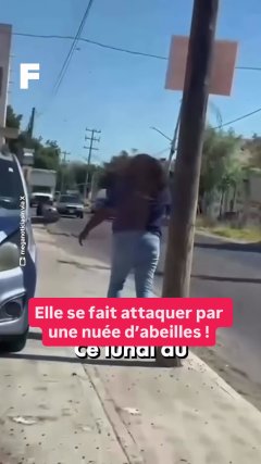 Planète - Vidéos Futura - Temporelles