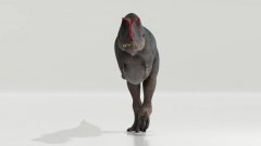 Un nouveau modèle biomécanique montre la démarche du T-Rex | Futura