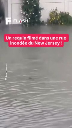 Planète - Vidéos Futura - Temporelles