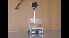 Un poisson rouge guide un robot à l'aide d'une caméra | Futura