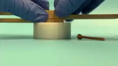 Un clou en bois durci pour remplacer le métal | Futura