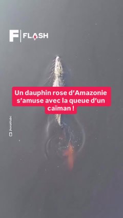 Planète - Vidéos Futura - Temporelles