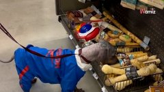 Su mamá murió y quedó solo: la historia de Griffin hace llorar a miles de internautas (Vídeo)