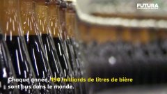 Combien de bulles contient une chope de bière ? | Futura