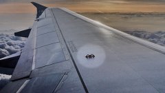 A quoi servent les crochets présents sur les ailes des avions ?