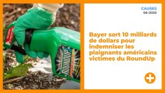 Bayer sort 10 milliards de dollars pour indemniser les plaignants américains victimes du RoundUp