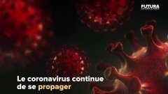 «Les super-propagateurs», qui sont-ils et comment influencent-ils la diffusion du coronavirus ? | Futura