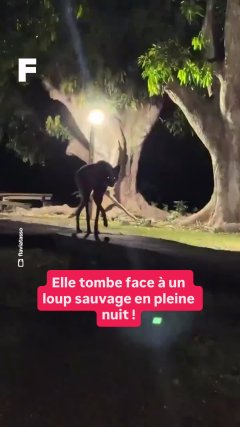 Planète - Vidéos Futura - Temporelles