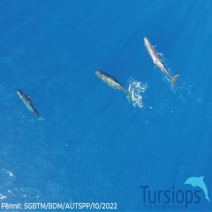 Planète - Vidéos Tierces - Intemporelles