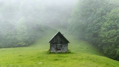 Honorant la promesse qu'il s'était faite à ses 18 ans, ce quadragénaire prend sa retraite pour vivre dans une petite cabane