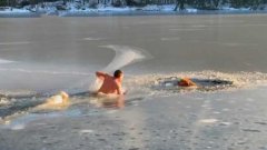 Un homme et son chien plongent dans l’eau glacée pour sauver 2 chiens prisonniers dans la glace