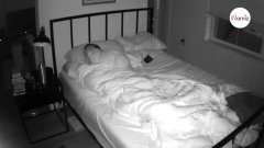 Cámara oculta en el dormitorio: cuando descubre lo que su gato hacía se queda petrificado