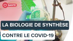 Des bactéries de synthèse peuvent-elles aider à traiter le Covid-19 ? | Futura